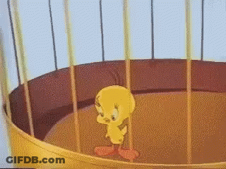 A Tweety Bird Is Standing In A Cage GIF
