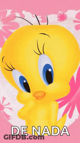 A Tweety Bird On A Pink Background With The Words De Nada GIF