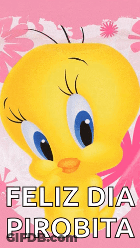 A Tweety Bird Says Feliz Dia Pirobita On A Pink And White Background GIF