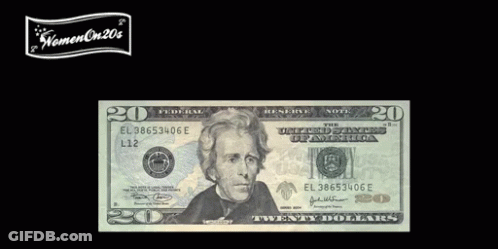 A Twenty Dollar Bill With A Picture Of A Woman On It GIF
