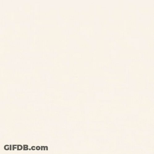 A Twenty Five Party Logo With Palm Trees On It GIF