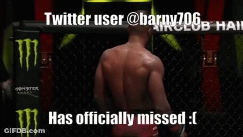 A Twitter User Has Officially Missed A Fight GIF