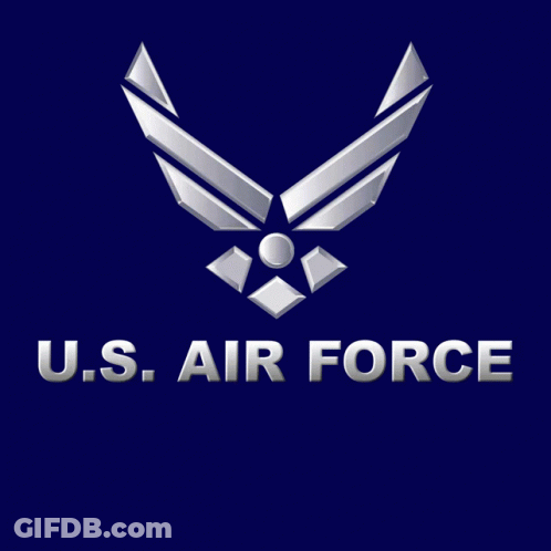 U.S. Air Force Voting Rights Logo GIF