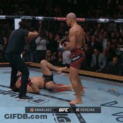 A Ufc Fight Between Ankalaev And Pereira Takes Place GIF