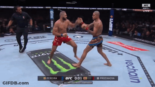 A Ufc Fight Between Pereira And Prochazka GIF
