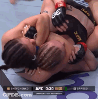 A Ufc Fight Between Shevchenko And Grasso Is Being Shown GIF