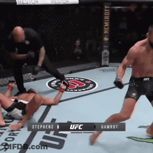 A UFC Fight Between Stephens And Gamrot Is In Progress GIF