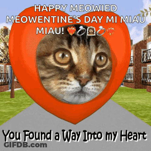 A Valentine 'S Day Card With A Cat On It GIF