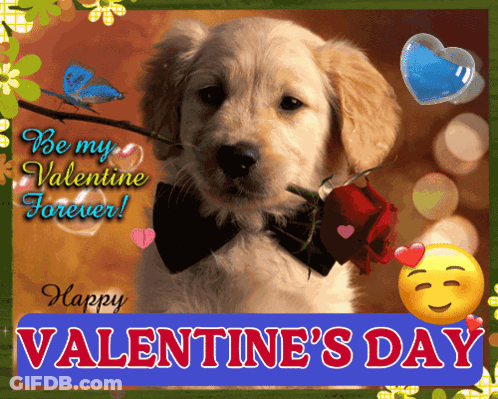 Valentine's Day Card Puppy With Bow Tie And Rose GIF