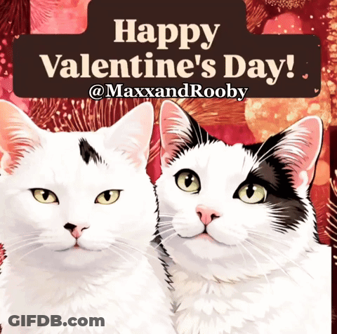 A Valentine 'S Day Greeting Card With Two Cats GIF