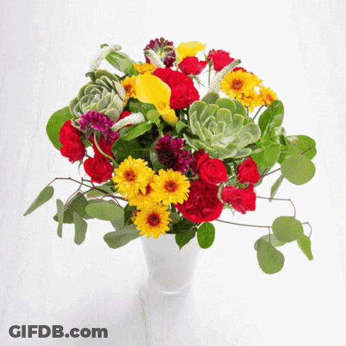 A Vase Filled With Flowers And Succulents On A White Surface GIF