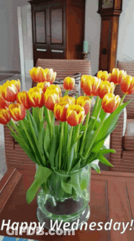 A Vase Filled With Orange And Yellow Tulips With The Words Happy Wednesday GIF