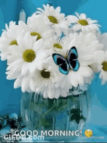 A Vase Filled With White Daisies And A Blue Butterfly On It . GIF