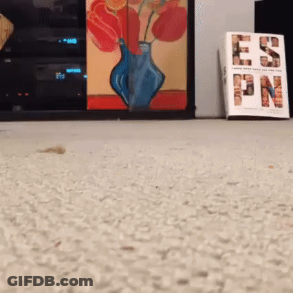 A Vase Of Flowers Is Sitting On A Carpet Next To A Book That Says Nct GIF