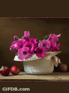 A Vase Of Pink Flowers Sits On A Table With Apples GIF
