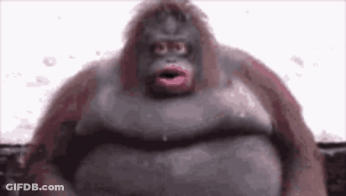 A Very Fat Monkey With Pink Lips Is Standing In Front Of A White Wall . GIF