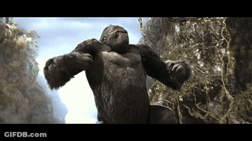 A Very Large Gorilla Is Standing On A Rocky Hillside GIF