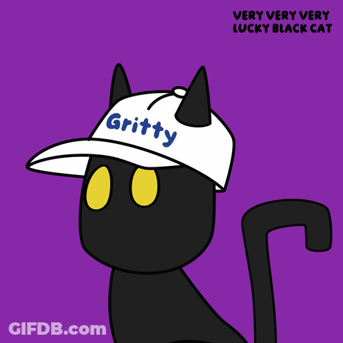 A Very Very Very Lucky Black Cat Wearing A Hat That Says Creative GIF