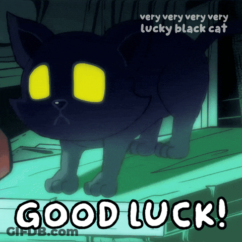 A Very Very Very Very Lucky Black Cat With Yellow Eyes Says Good Luck GIF