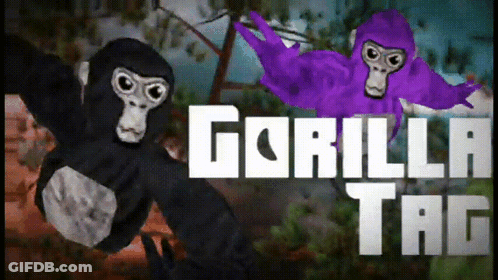 A Video Game Called Gorilla Tag Shows Two Gorillas GIF