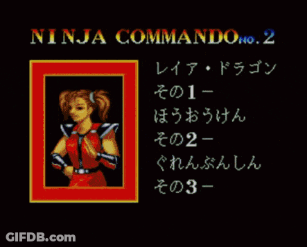 A Video Game Called Ninja Is Being Played On A Computer GIF