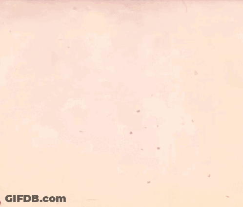 A Video Game Character Is Holding A Gun And The Word Kisse Is Above Her Head GIF