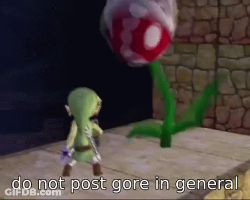 A Video Game Character Is Standing Next To A Plant With The Words `` Do Not Post Gore In General '' . GIF