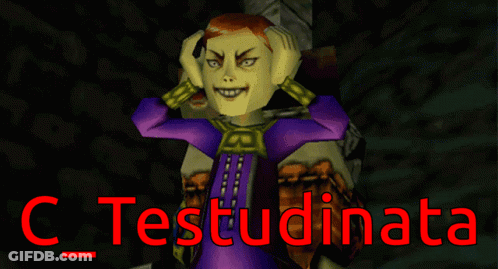 A Video Game Character Is Standing Next To A Skull And The Words C_testudinata Are Above Him GIF