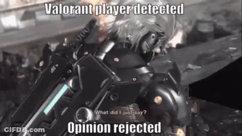 A Video Game Character Says " What Did I Just Say ? Opinion Rejected " . GIF