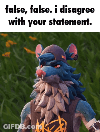 A Video Game Character With A Beard And A Hat Says " False , False , I Disagree With Your Statement " GIF