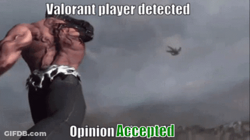 Valorant Player Detected Opinion Accepted GIF
