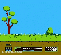 A Video Game Screen Shows A Fox And A Tree And Says Fly Away GIF