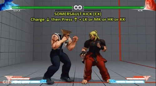 A Video Game Screen Shows A Somersault Kick In Progress GIF