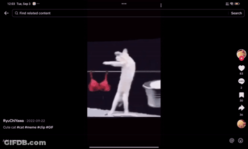 A Video Of A Cat In A Bucket Is Being Viewed On A Tablet GIF