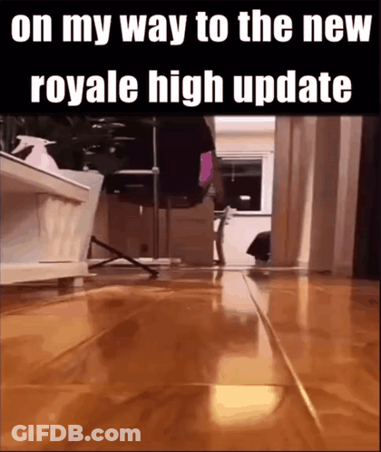 A Video Of A Cat Walking On A Wooden Floor With The Caption On My Way To The New Royale High Update . GIF