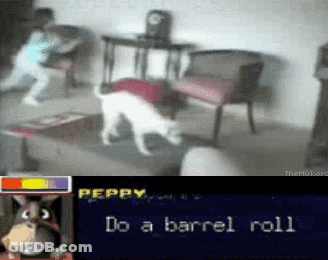 A Video Of A Dog Playing A Video Game With The Words " Do A Barrel Roll " GIF