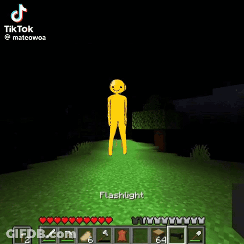 A Video Of A Flashlight Being Used In A Minecraft Game GIF
