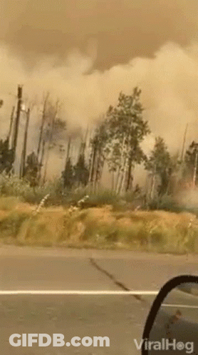 A Video Of A Forest Fire Is Being Shared By Viralhog GIF