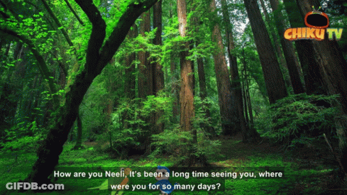 A Video Of A Forest With The Words " How Are You Neeli " GIF