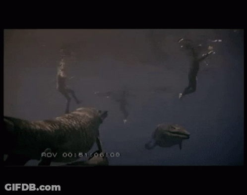 A Video Of A Group Of People Swimming Underwater With The Time 00 : 51 : 09 : 03 At The Bottom GIF