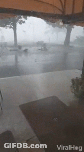 A Video Of A Hurricane Is Being Shared On Viralhog GIF