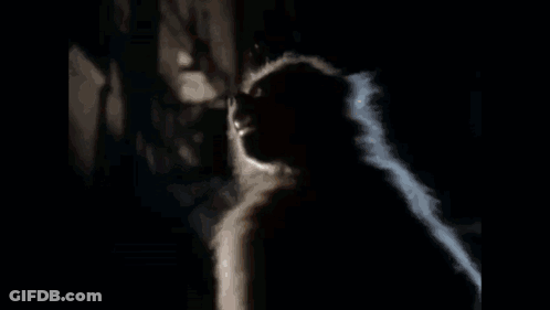 A Video Of A Man Sitting On A Staircase With The Words Let That Rabid Monkey Die Quietly If It GIF