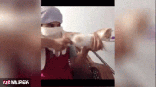 A Video Of A Woman Holding A Cat With The Words Vlipsy On The Bottom Right GIF