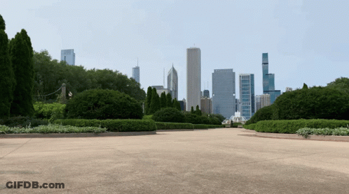 A View Of A City Skyline From A Park With Trees In The Foreground GIF