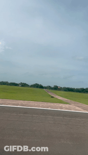 A View Of A Grassy Field Through A Window GIF