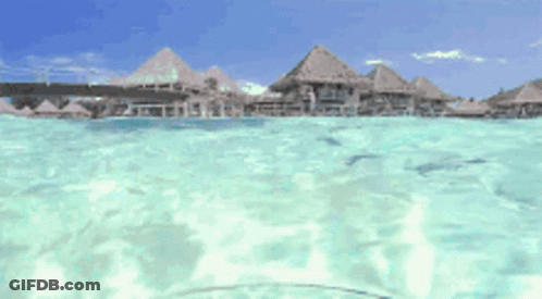 A View Of A Tropical Island From The Water With Thatched Houses In The Background GIF