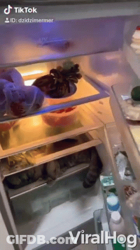 A Viralhog Video Of A Cat Sleeping In A Refrigerator .. GIF