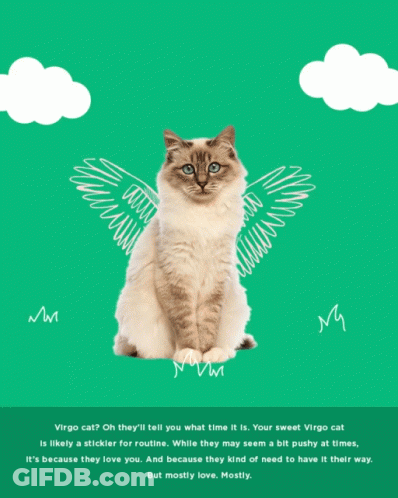 A Virgo Cat With Wings Is On A Green Poster GIF