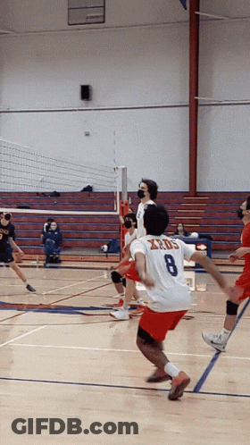 A Volleyball Player With The Number 8 On His Back GIF