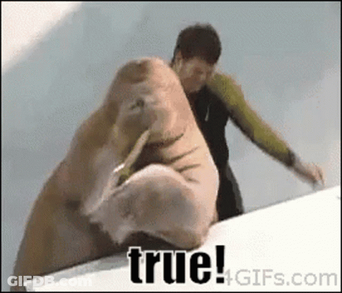 A Walrus Is Being Held By A Man And The Words True Are On The Bottom Of The Image GIF